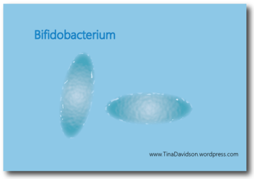 Bifido-bacterium